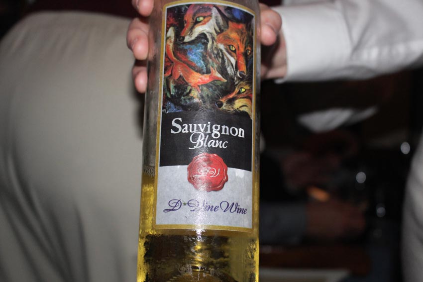 Grapevine wine train (17)